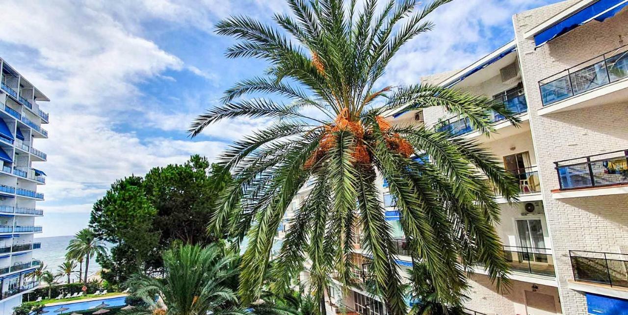 Skol Apartments Marbella Exteriör bild